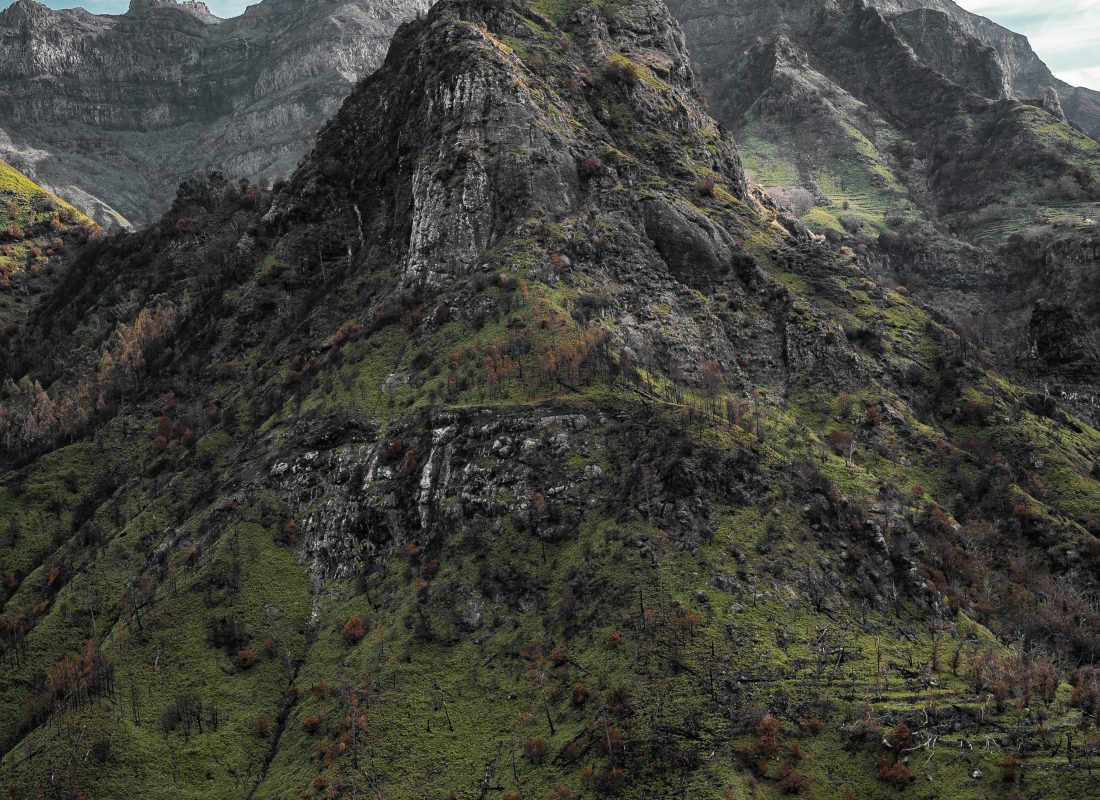 Madeira
