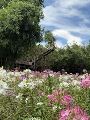 Mae Hong Song Loop, Thailand